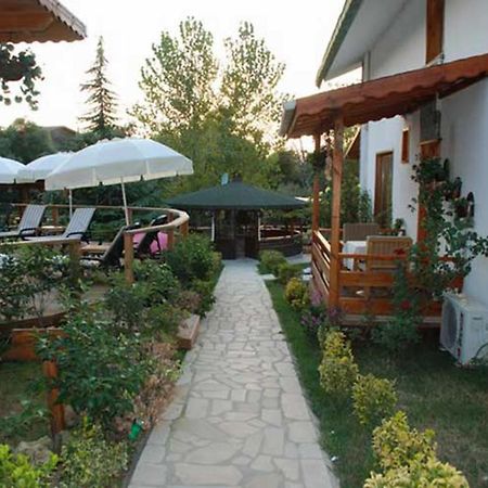 Treetops Park Hotel Шиле Экстерьер фото