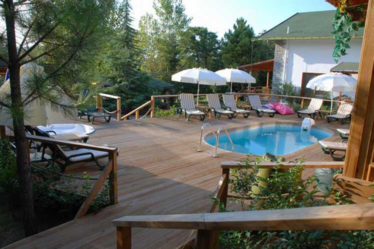 Treetops Park Hotel Шиле Экстерьер фото