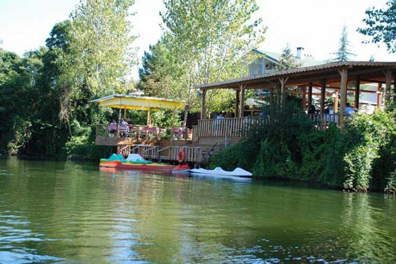 Treetops Park Hotel Шиле Экстерьер фото