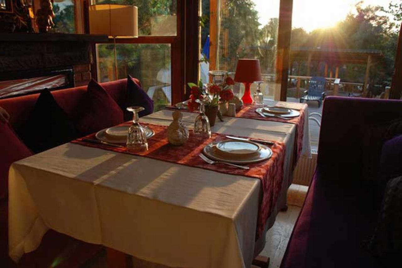 Treetops Park Hotel Шиле Экстерьер фото
