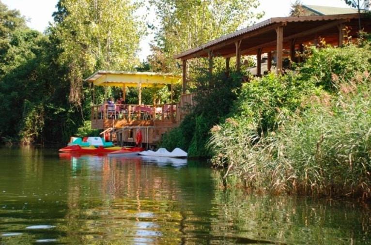 Treetops Park Hotel Шиле Экстерьер фото